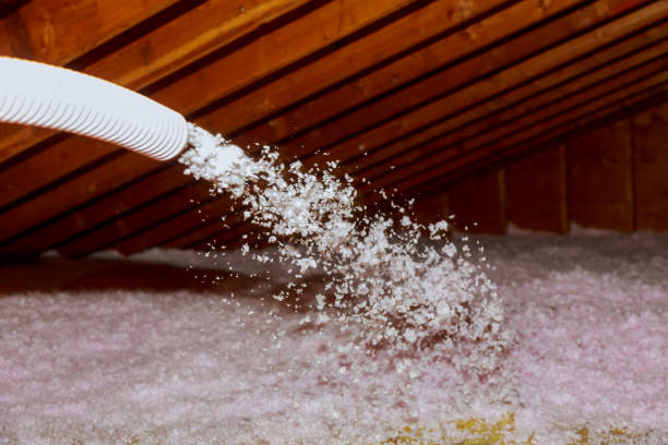 Best Insulation Maintenance and Repair in Fredericktown, MO