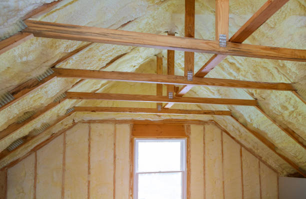 Best Commercial Insulation in Fredericktown, MO